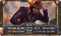 Casino Guru offre il gioco online Dead or Alive II