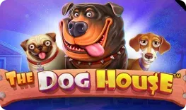 Casino Guru offre il gioco online The Dog House